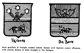  Stemmi di Famiglie Ovadesi estinte - Disegno 