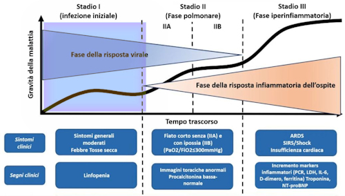 Patogenesi Covid-19 - 2
