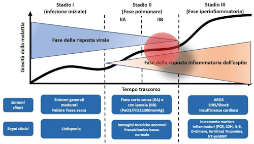 Patogenesi Covid-19 - 2